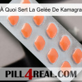 À Quoi Sert La Gelée De Kamagra 26